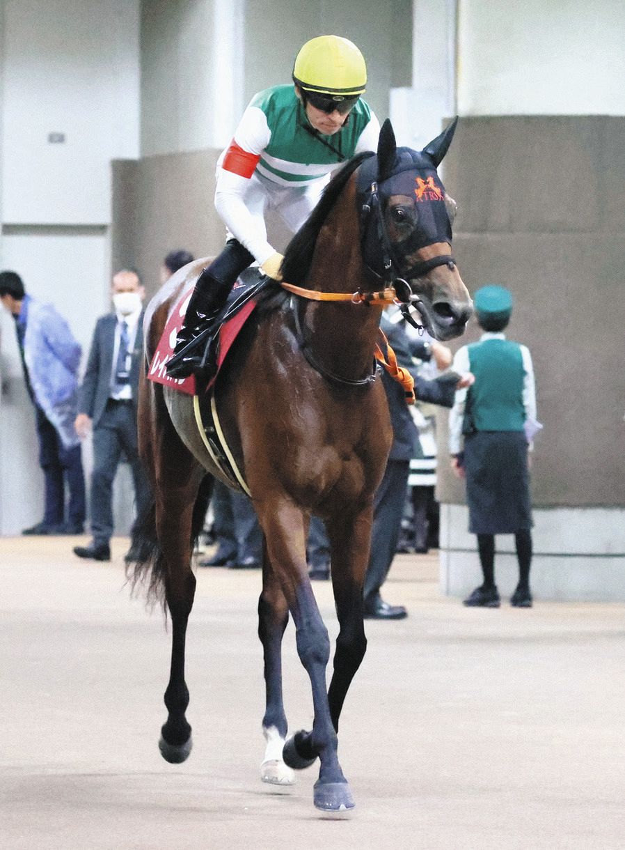 引退発表のレイパパレは屈腱炎 中央競馬 中日スポーツ 東京中日スポーツ