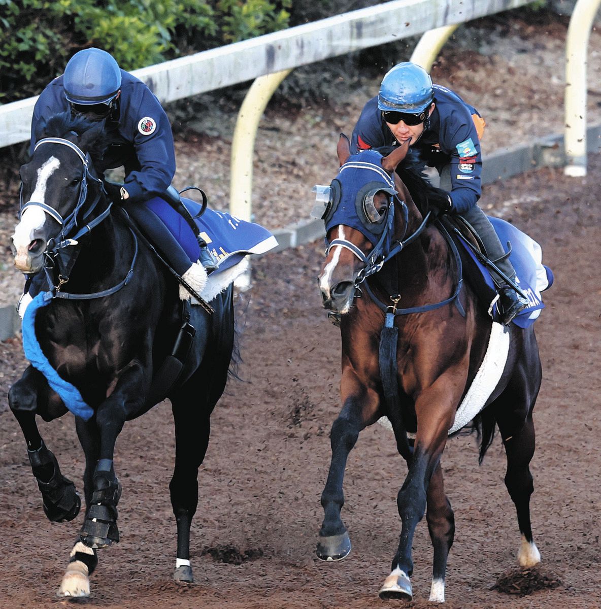 天皇賞・秋】ソールオリエンスは3枠4番 手塚久師は「勝てるだけの力は