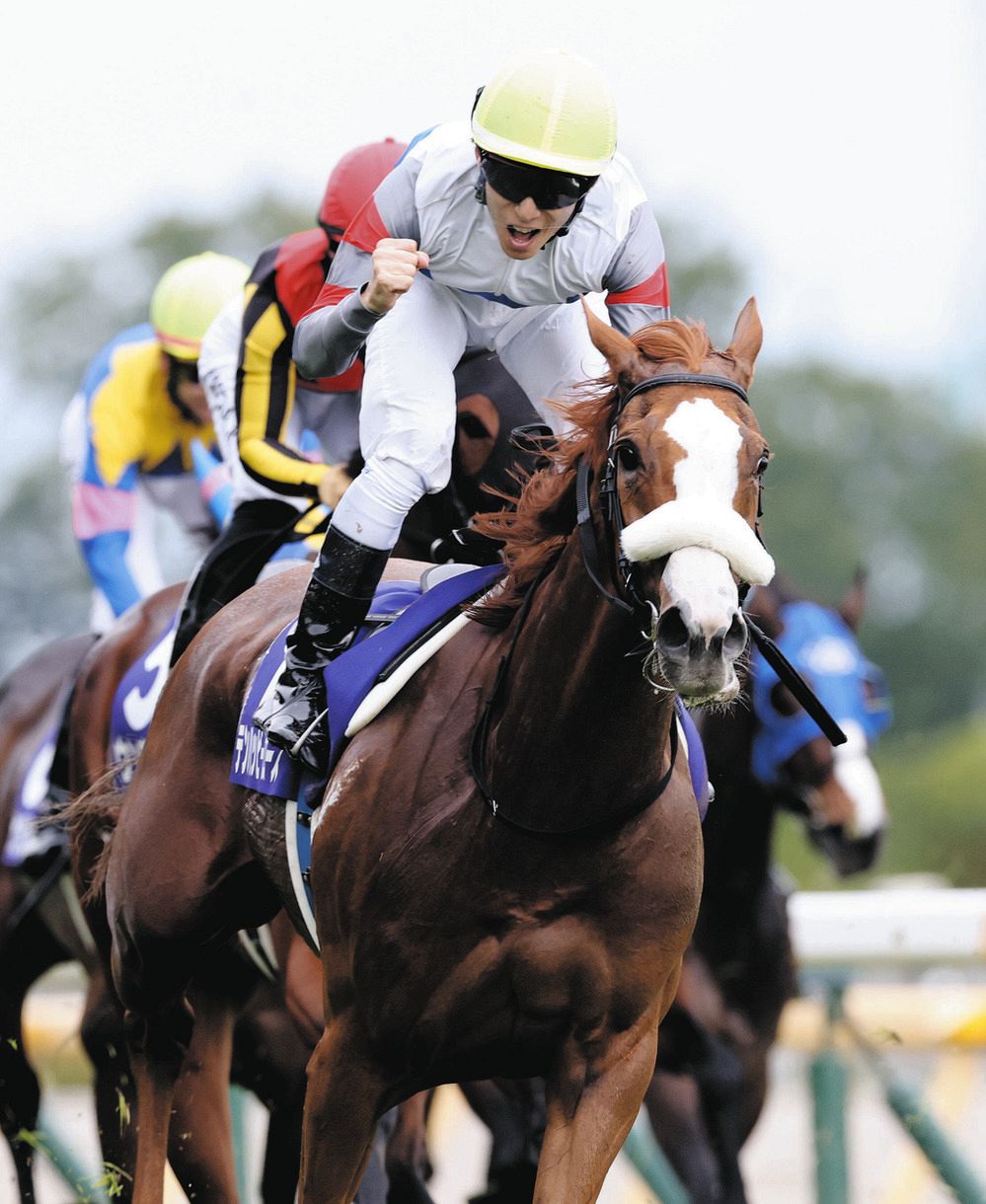 ⑩◆　競馬　JRA　◆　テンハッピーローズ　◆　ヴィクトリアマイル◆２種類セット テンハッピーローズが優勝 競馬のヴィクトリアマイル - 日本経済新聞