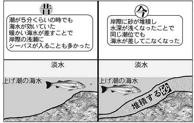 厳冬期の相模川で大型シーバス狙う 変化している河川への遡上パターン 中日スポーツ 東京中日スポーツ