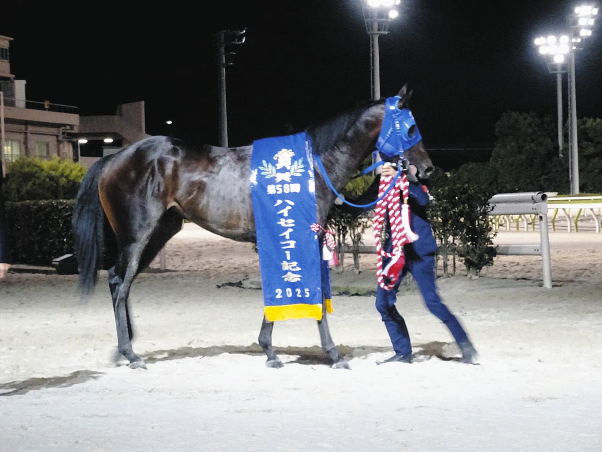 大井競馬・ハイセイコー記念】単勝1番人気ゼーロスが突き放し重賞初 