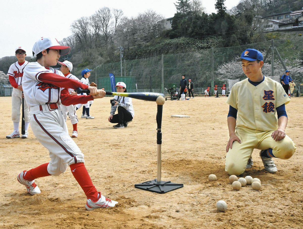 野球　講座　指導　DVD　19枚　 まとめ売り 野球 講座 指導 DVD 19枚 まとめ売り スポーツ・フィットネス