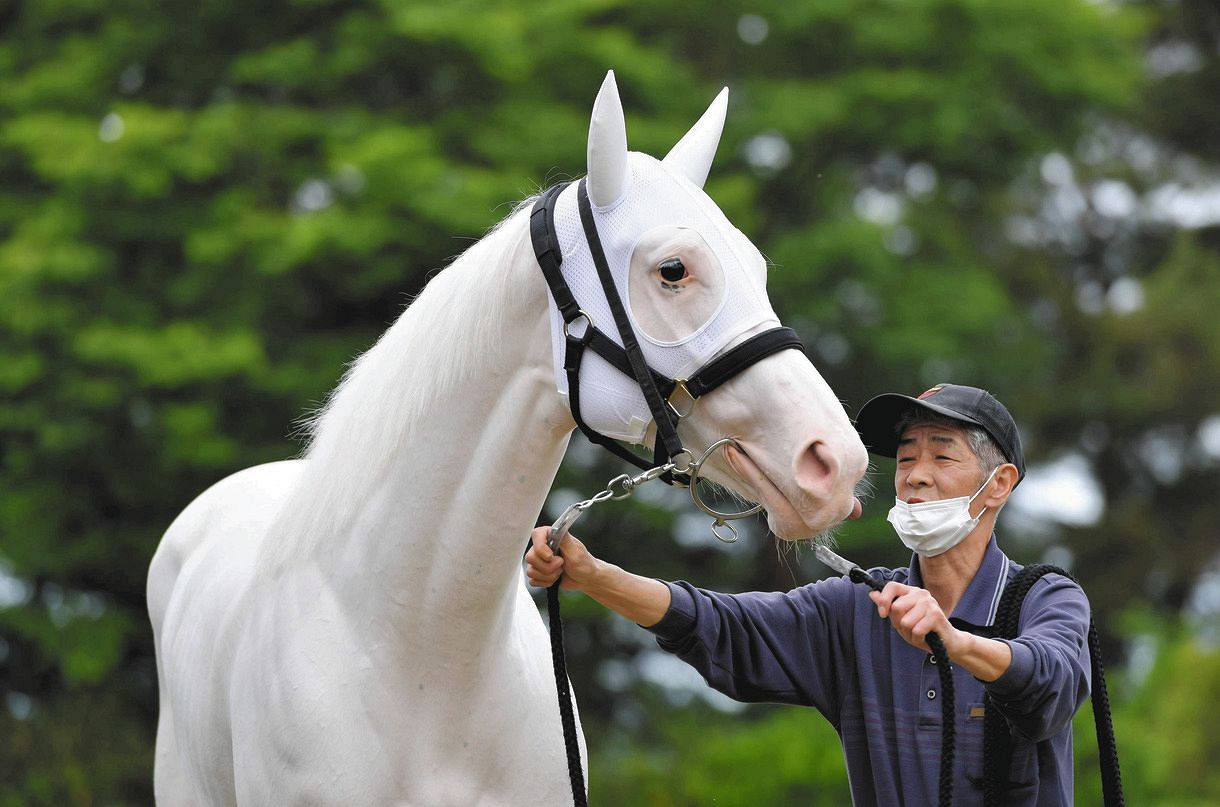 競馬】白毛馬ソダシ、G2札幌記念に参戦決定 初の古馬との対決
