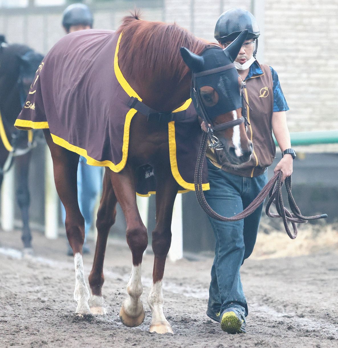 天皇賞 秋 枠順確定 トーセンスーリヤは絶好枠3枠6番 神が舞い降りたね 馬名を引き合いに出し大喜び 中日スポーツ 東京中日スポーツ