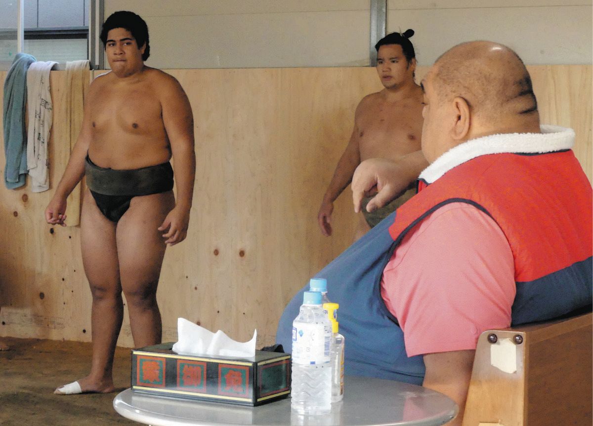 元横綱・武蔵丸のおいっ子ダニエル君、1年後の入門目指して部屋で研修 