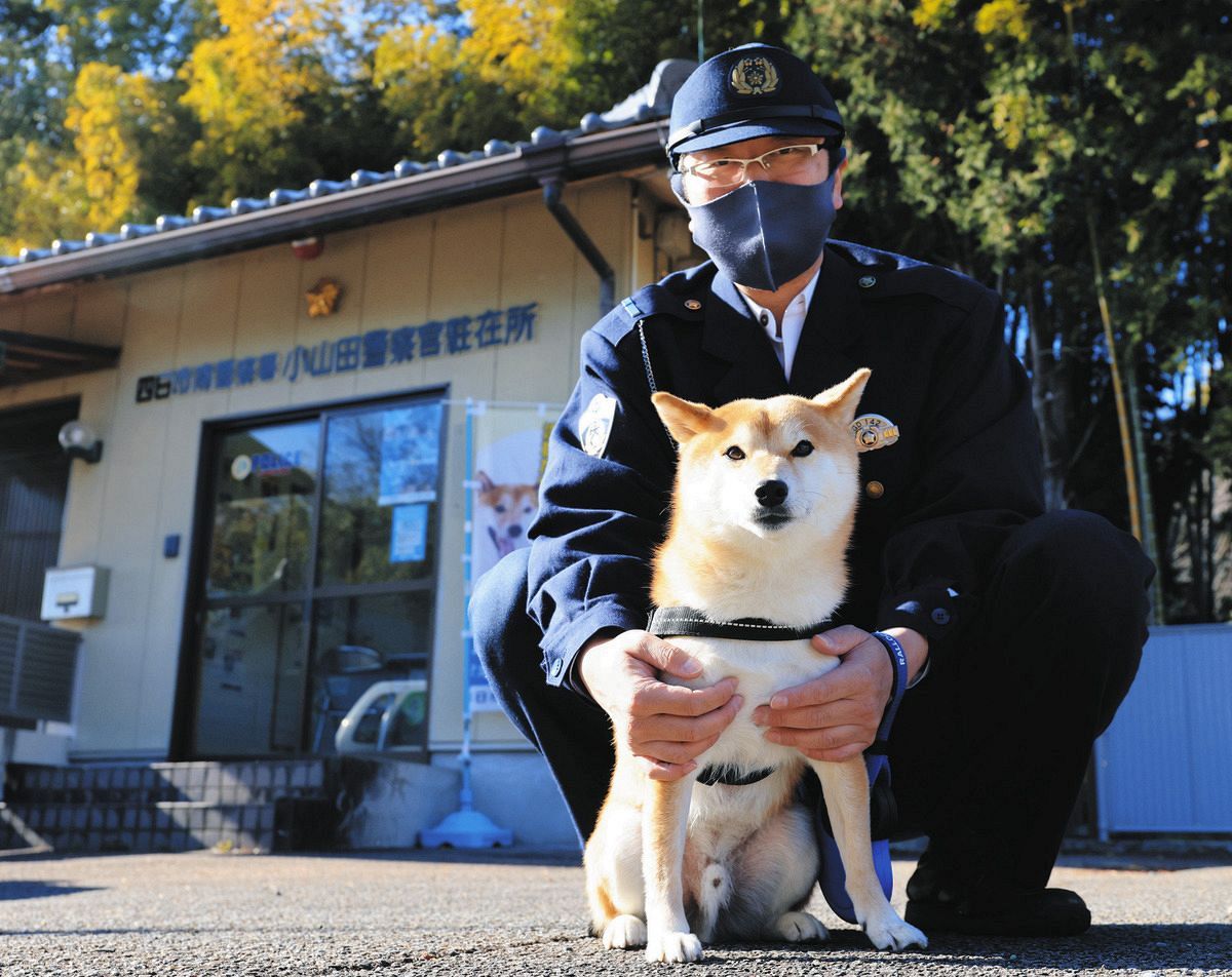 動画】柴犬の豆助は「犬のお巡りさん」 日課は登下校見守り、パトカー