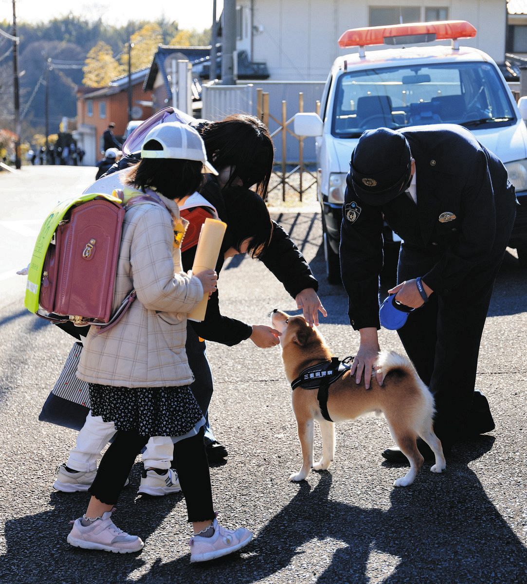 動画】柴犬の豆助は「犬のお巡りさん」 日課は登下校見守り、パトカー