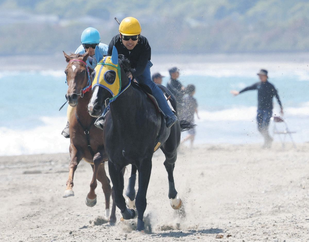 動画】大迫力で砂浜を駆け抜ける 静岡県牧之原市で「さがら草競馬