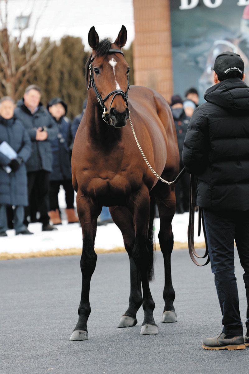 武豊、「数々の名馬の中でもドウデュースは不思議なタイプ。アイビス 武豊、「数々の名馬の中でもドウデュースは不思議なタイプ。アイビス