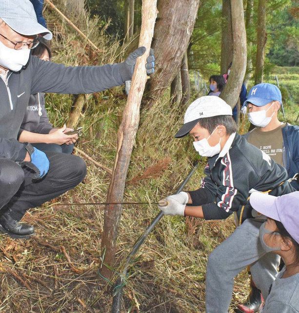 若狭町で子どもら 切って割って 間伐作業に汗 日刊県民福井web