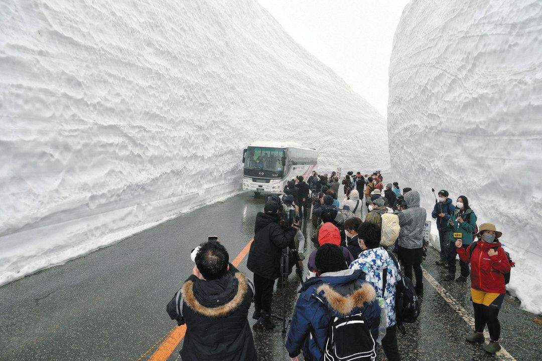 富山 雪壁 天まで白く 立山黒部アルペンルート 全線開通 北陸中日新聞web