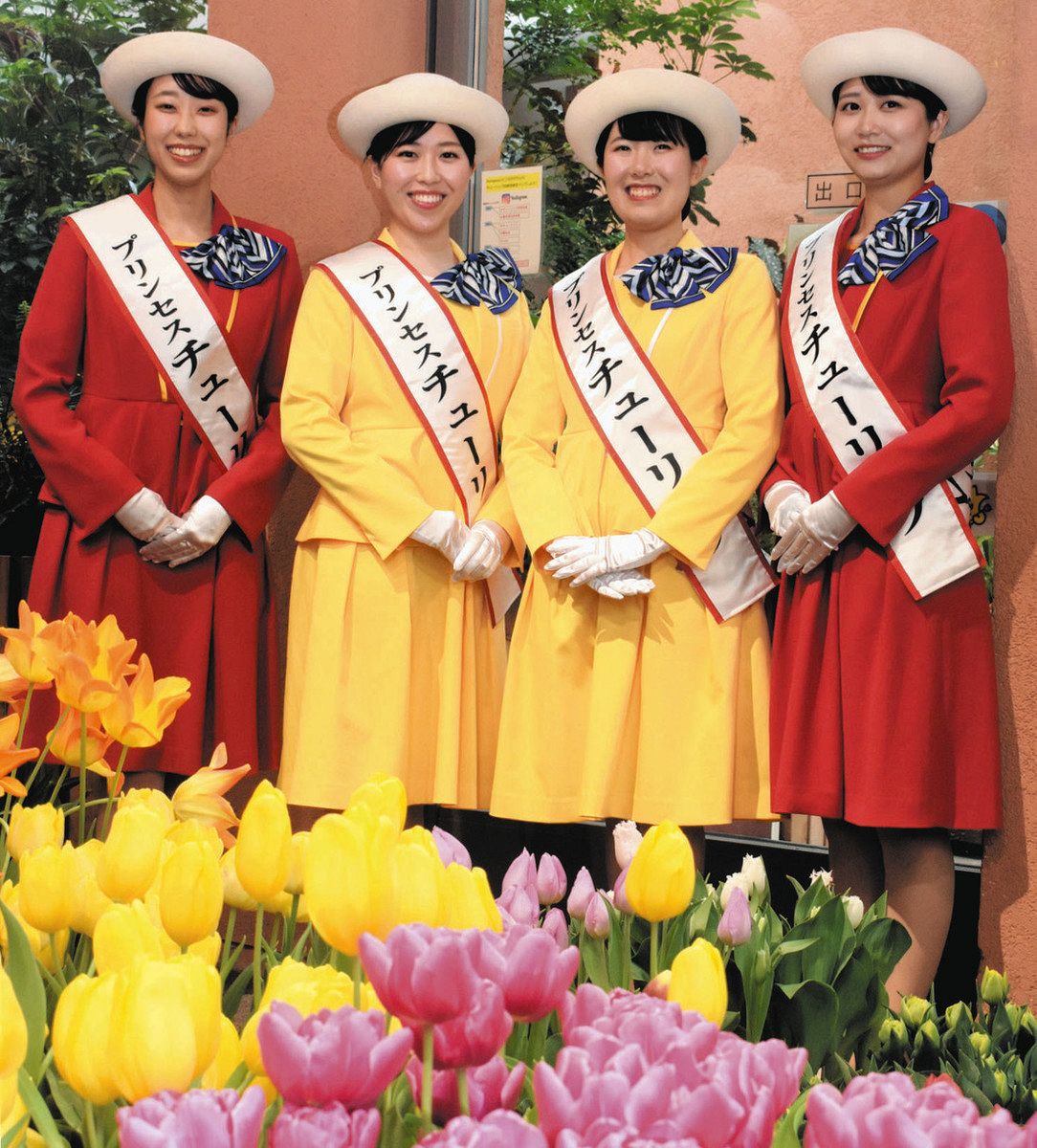 砺波の魅力 伝えたい 「プリンセスチューリップ」発表：北陸中日新聞Web