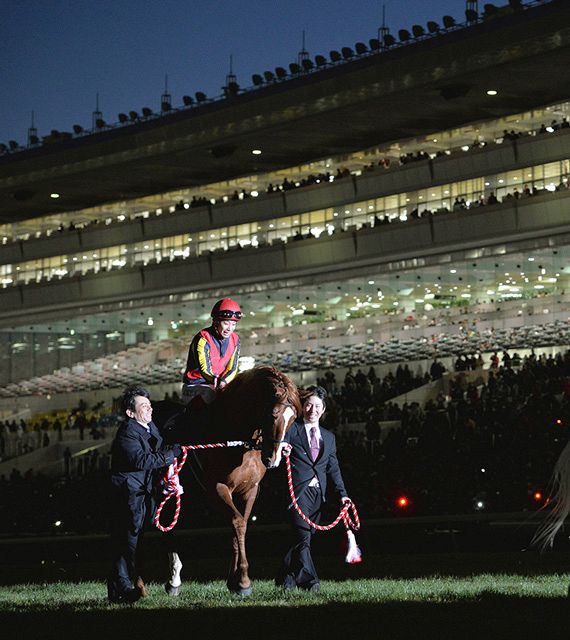 伝説のラストランから10年…、オルフェーヴル伝説は第2章へ GⅠ第68回有馬記念は24日出走：中日スポーツ・東京中日スポーツ