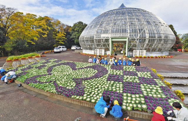 葉ボタンで 鬼滅 模様に 県総合グリーンセンター 園児ら手掛ける 中日新聞web