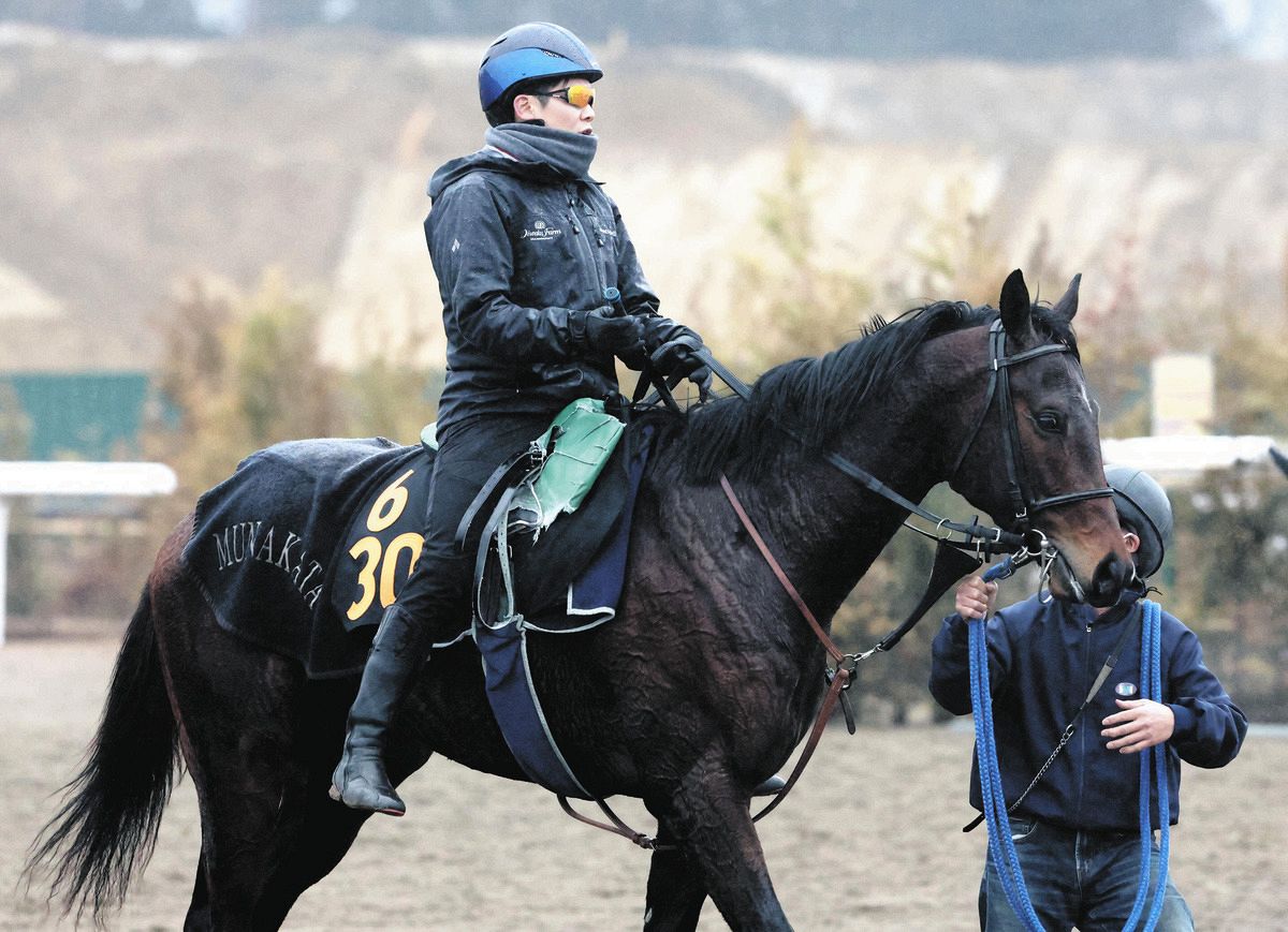 シリウスコルトも3着で皐月賞の優先出走権ゲット！鞍上・三浦「感触