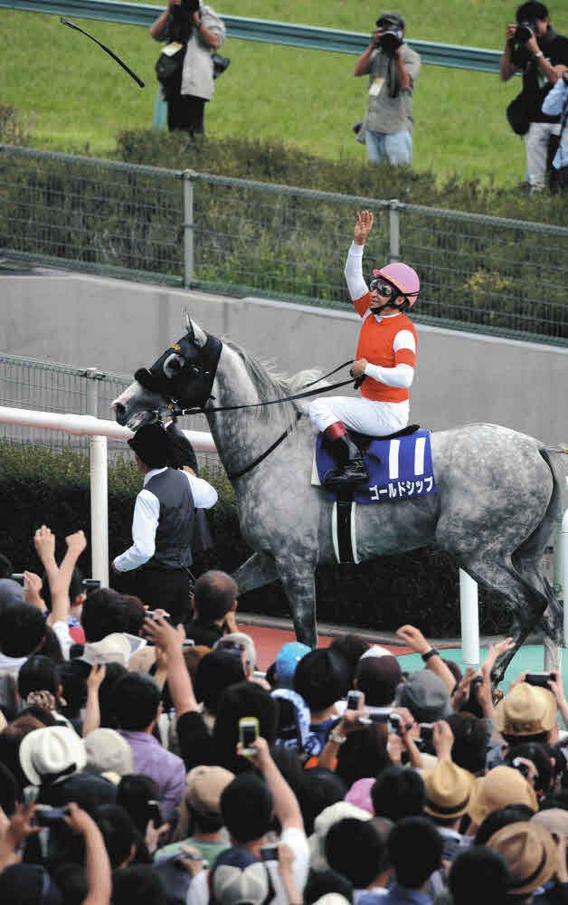 ゴールドシップ ぬいぐるみ Mサイズ 競馬 アイドルホース 第151