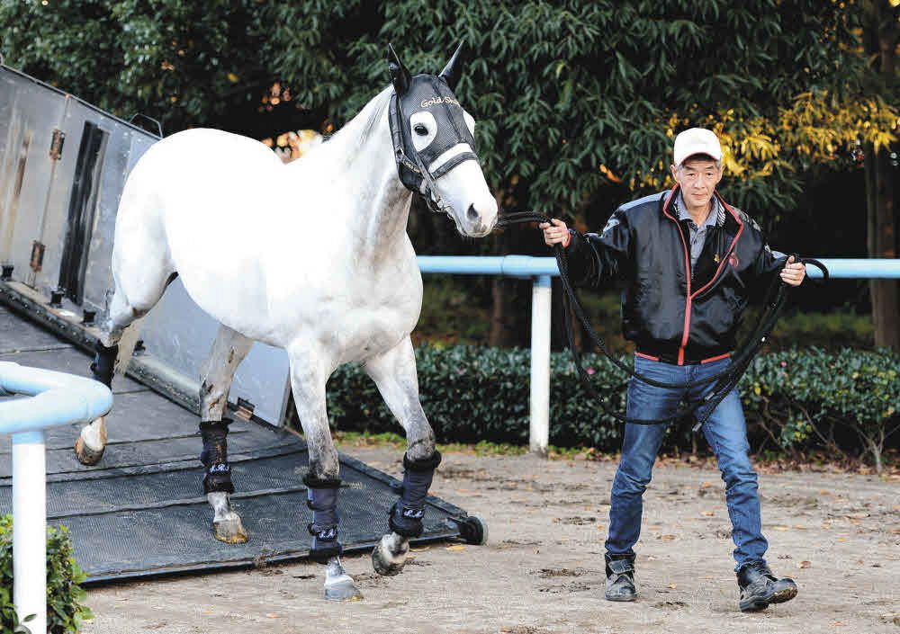 写真多数】永遠のアイドルホース ゴールドシップ写真館：中日スポーツ