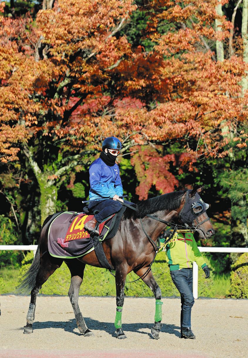 デアリングタクト Tシャツ 競馬 - その他