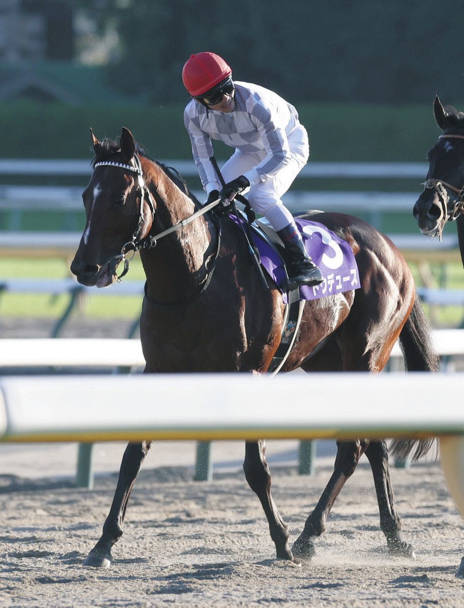 口豪奢 天皇賞・秋7位に沈んだドウデュース、武豊騎乗の「ジャパンC」で コレクション