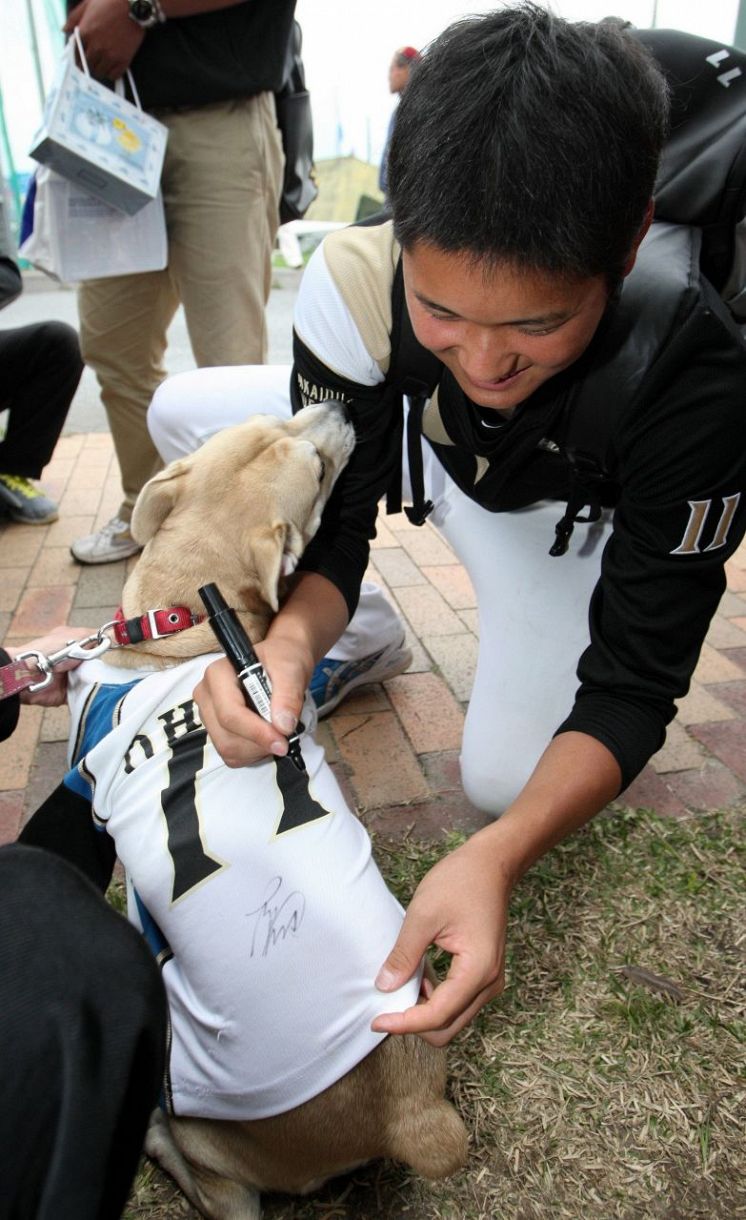 ◇若かりし大谷翔平、日本ハム時代に犬にサイン【写真】：中日スポーツ