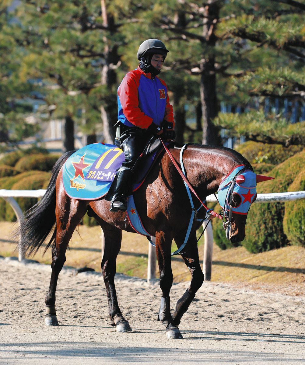 ノリタケ　競走馬跳馬 ノリタケ 競走馬跳馬 【公式通販】
