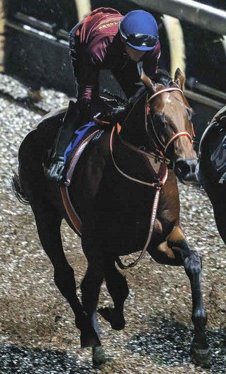 ジョッキークラブゴールドC】フォーエバーヤングが単走追い切り5F62秒