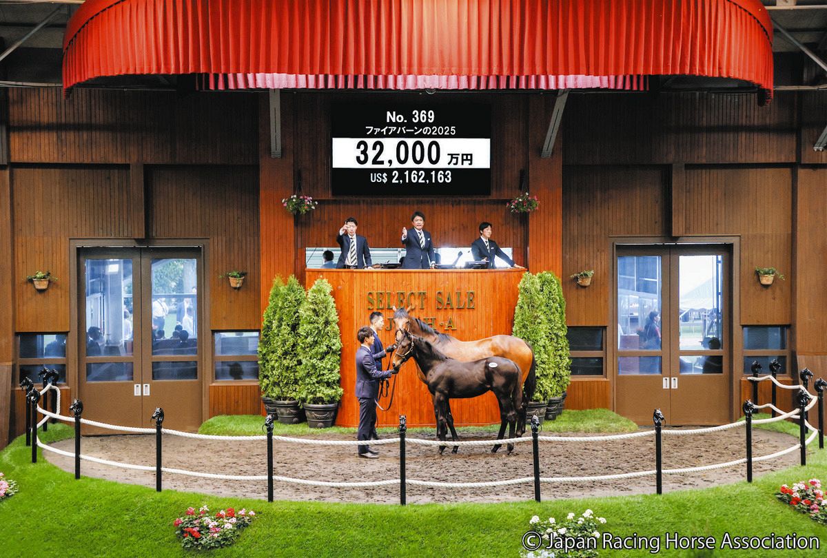セレクトセール】キズナ産駒も3億円を突破、母は豪G1・2勝のファイア