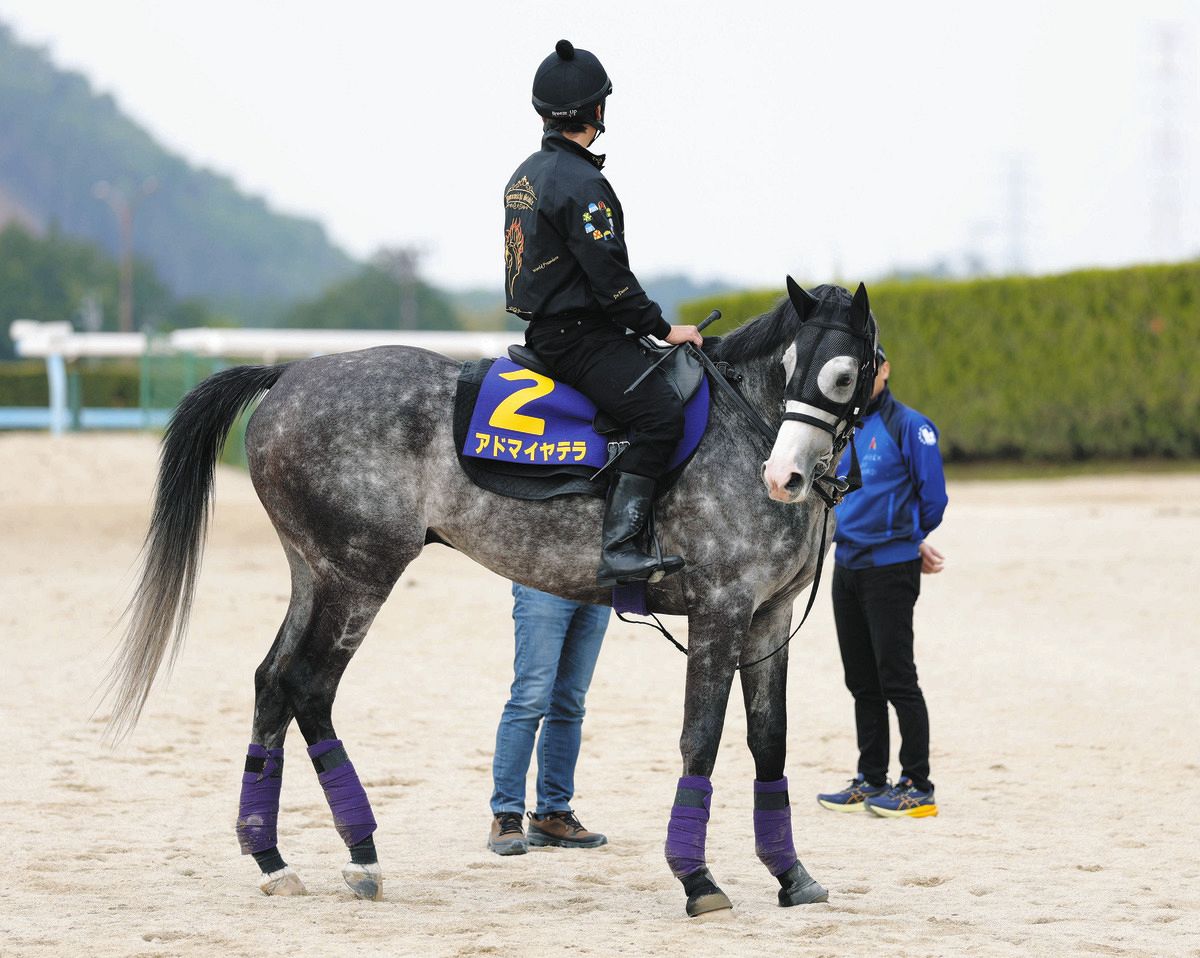 【スポーツ紙企画当選品】キタサンブラック 天皇賞春 レースパネル 産駒ワンツーフィニッシュ 天皇賞(春)に高い適性を示したキタサン