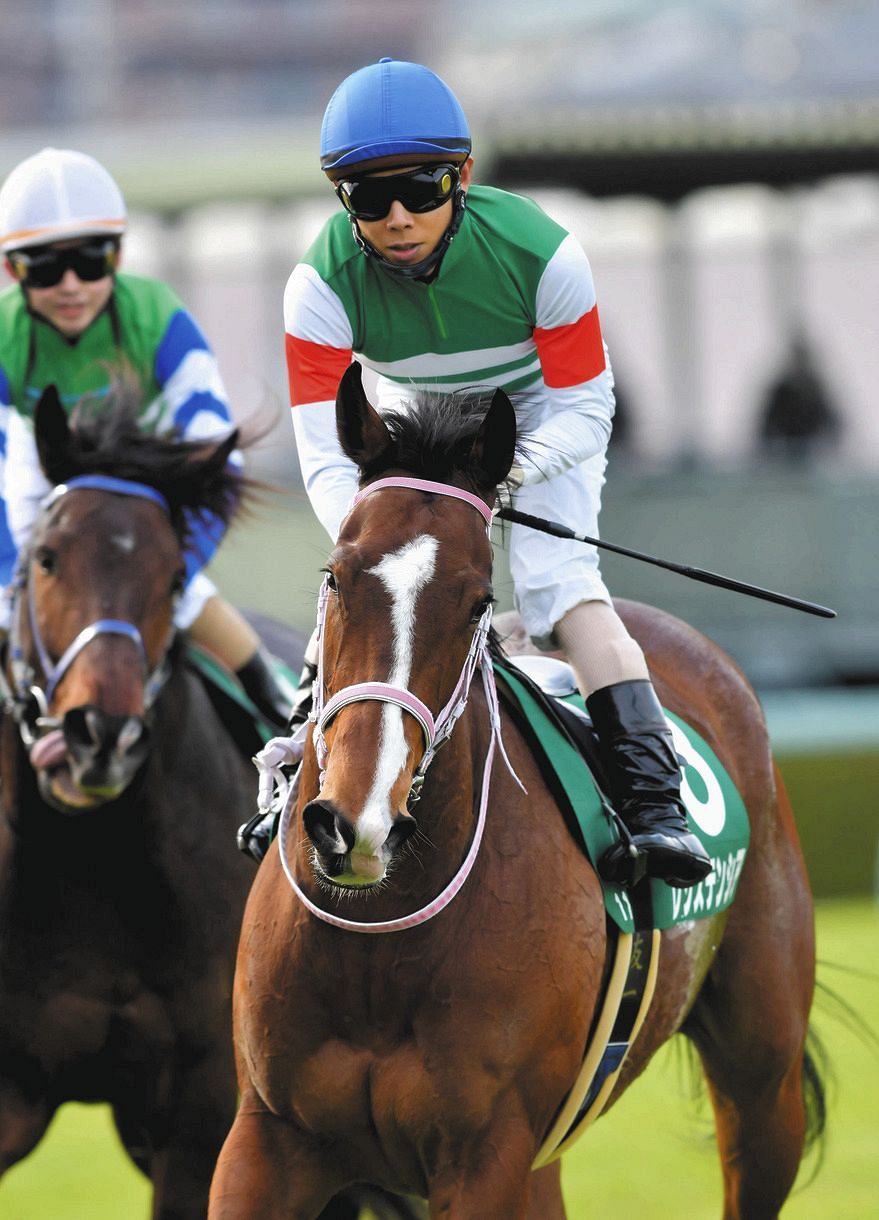 レシステンシア　阪神競馬場限定ミニゼッケン 阪神ジュベナイルフィリーズ　阪神 JF JRA 競馬 レシステンシア 2022年香港スプリント実使用ゼッケン 香港国際