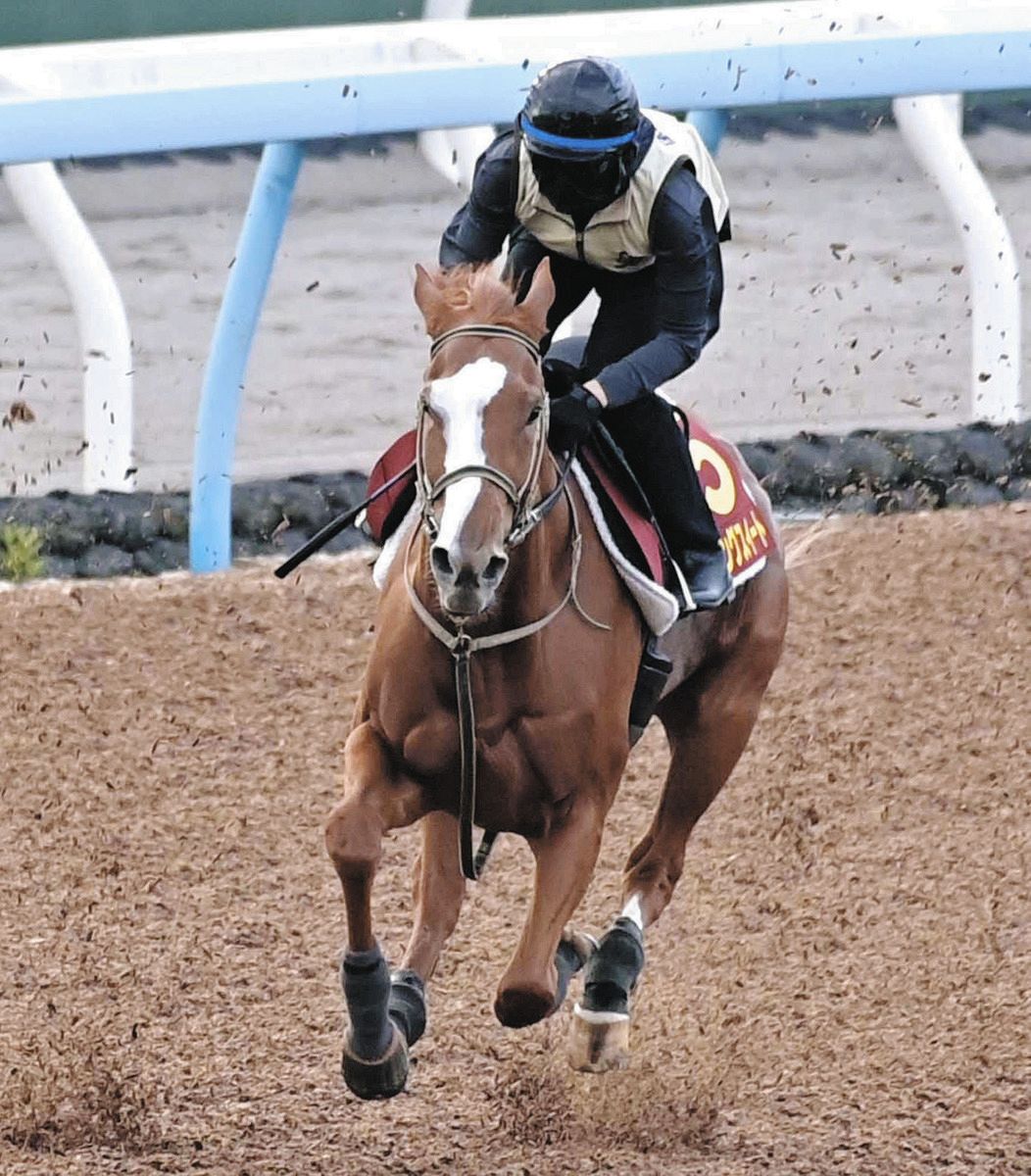 【2026秋華賞追い切り診断】極上S評価と調教タイムが暴く激走穴馬
