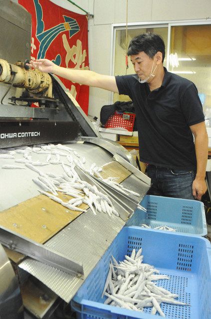 追跡 海と魚のまち ３４ コロナの苦境 中日新聞web