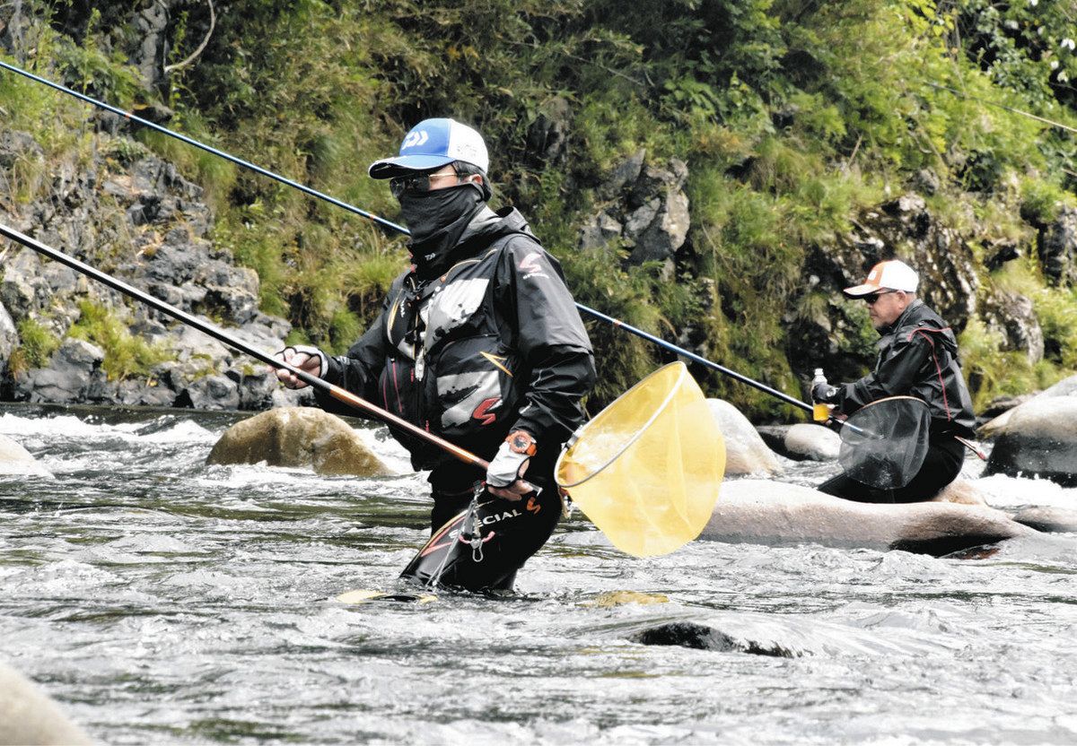 待ちわびた！ 郡上でアユの友釣りが解禁：中日新聞Web
