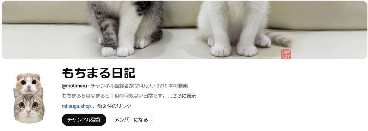正規店仕入れの 愛猫家YouTube「もちまる日記」動画休止を報告、腎臓病の愛猫、5 サロペット・オーバーオール・オールインワン