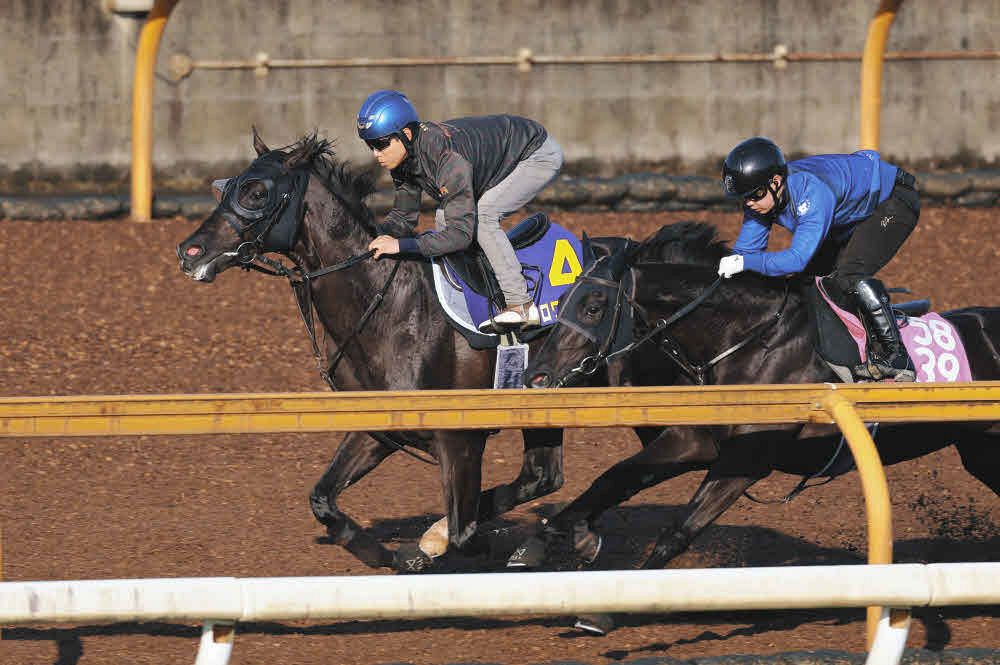 日本ダービー追い切り】クロワデュノール北村友「馬自身が整っていて