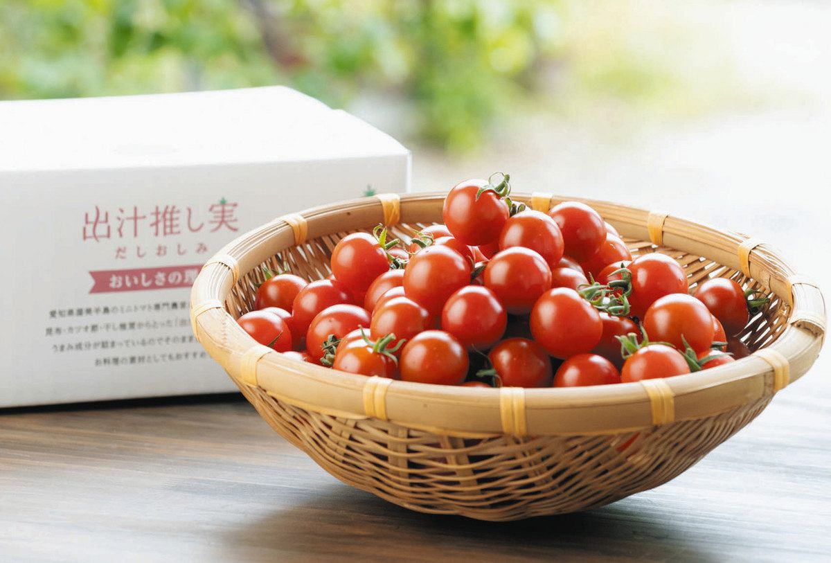 日本一高いミニトマト！お値段なんと10万円 付加価値は生産者との対話