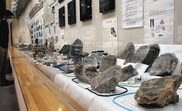 鉱物や化石、光る魅力 琵琶湖博物館で愛好家の収集品展：中日新聞Web