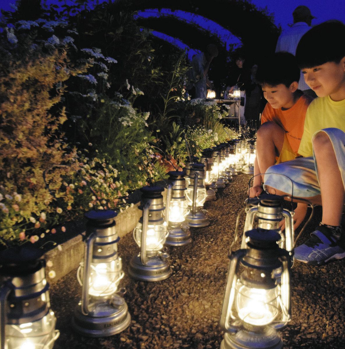 コーナー藤ランタン コーナー藤ランタン