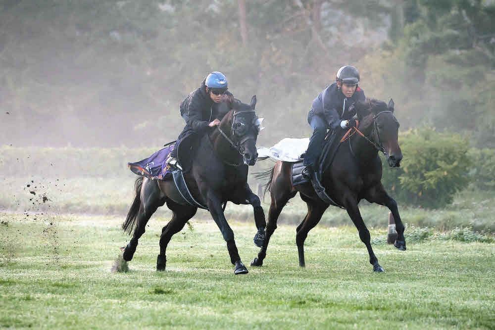 凱旋門賞】最終追い切りクロワデュノール臨戦態勢へ 北村友「求めてい