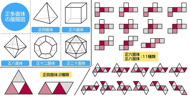 ウケる数学 正多面体の展開図は何種類になる 中日新聞web