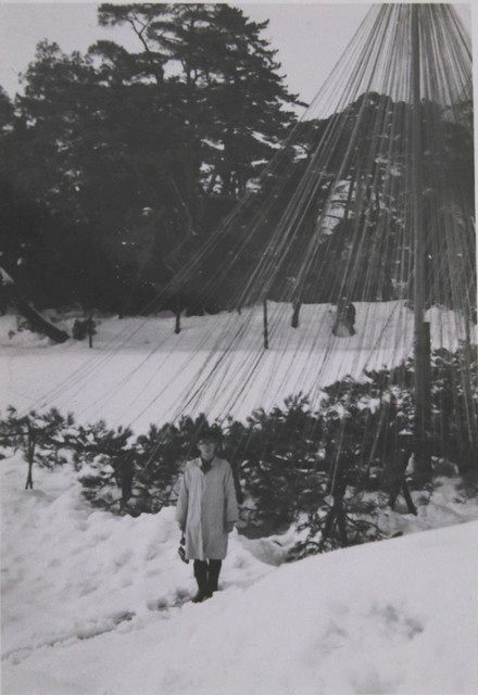 三八豪雪「視界ゼロ」 金沢最深積雪181センチ 知ってる？：北陸中日新聞Web