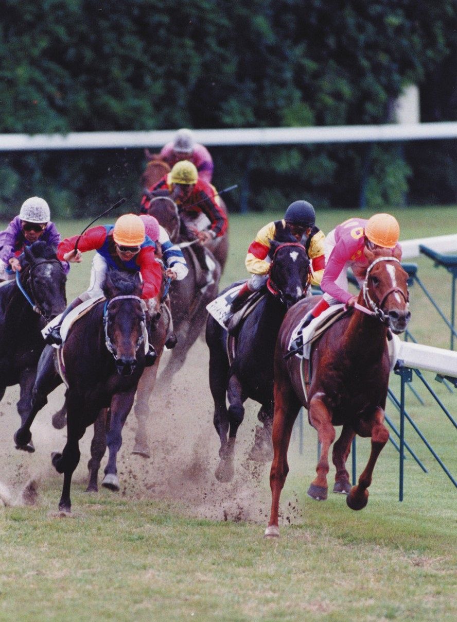 ミホノブルボン　皐月賞　馬券　当たり馬券　期限切れてます。 ミホノブルボン 皐月賞 馬券 当たり馬券 期限切れてます。 期限切れ