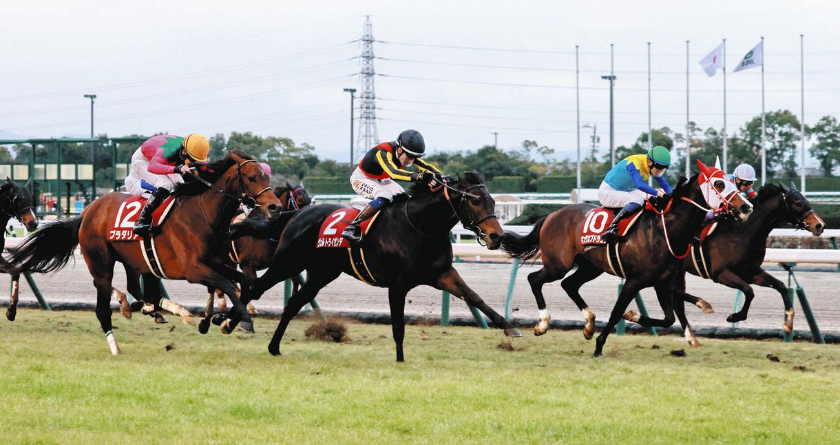 今年から増えている負担重量 日本特有の”高速馬場”も改修しなければ 