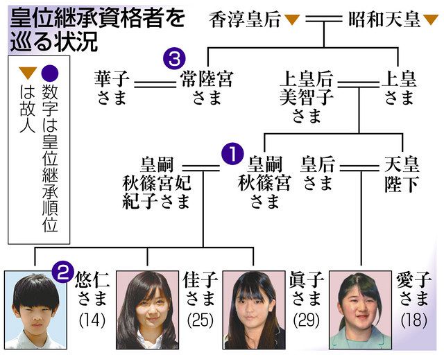 皇女」制度を政府検討 「女性宮家」創設見送る方向：中日新聞Web