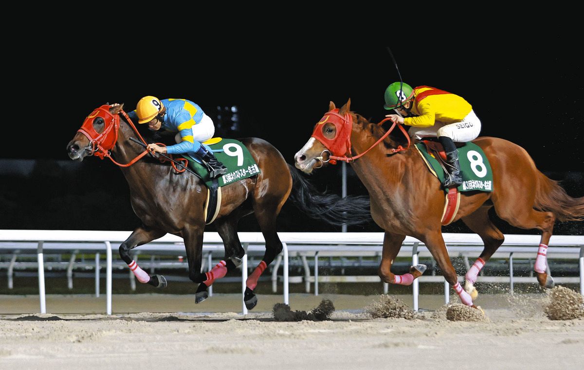 ネクストスター名古屋】単勝1番人気ミモザノキセツが追い上げかわし鼻