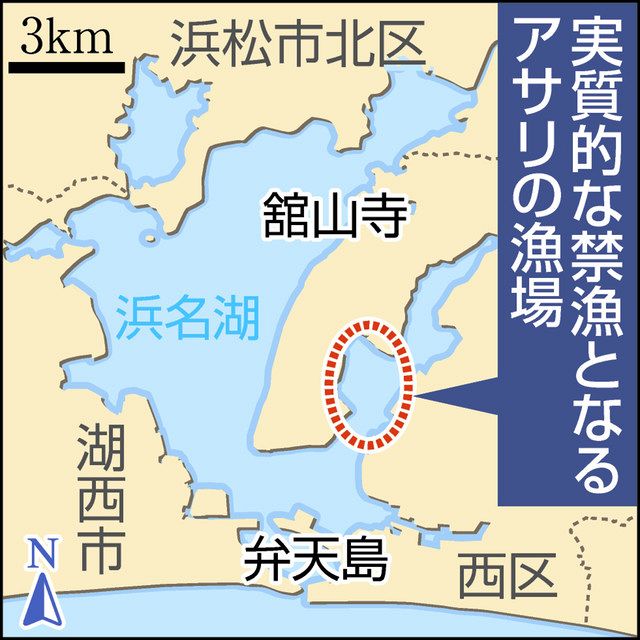 浜名湖アサリ、漁獲量激減で初の「禁漁」 １６日まで：中日新聞しずおかWeb