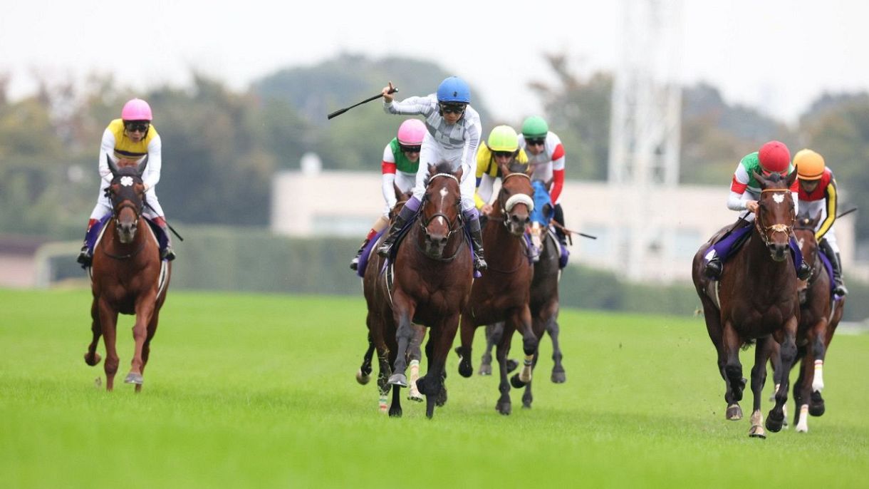 天皇賞・秋】ドウデュースが直線豪快に差し切りG1・4勝目 武豊は