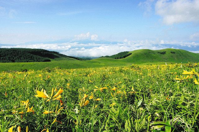 残したい草原の里100選」に霧ケ峰 菅平・峰の原高原も：中日新聞Web