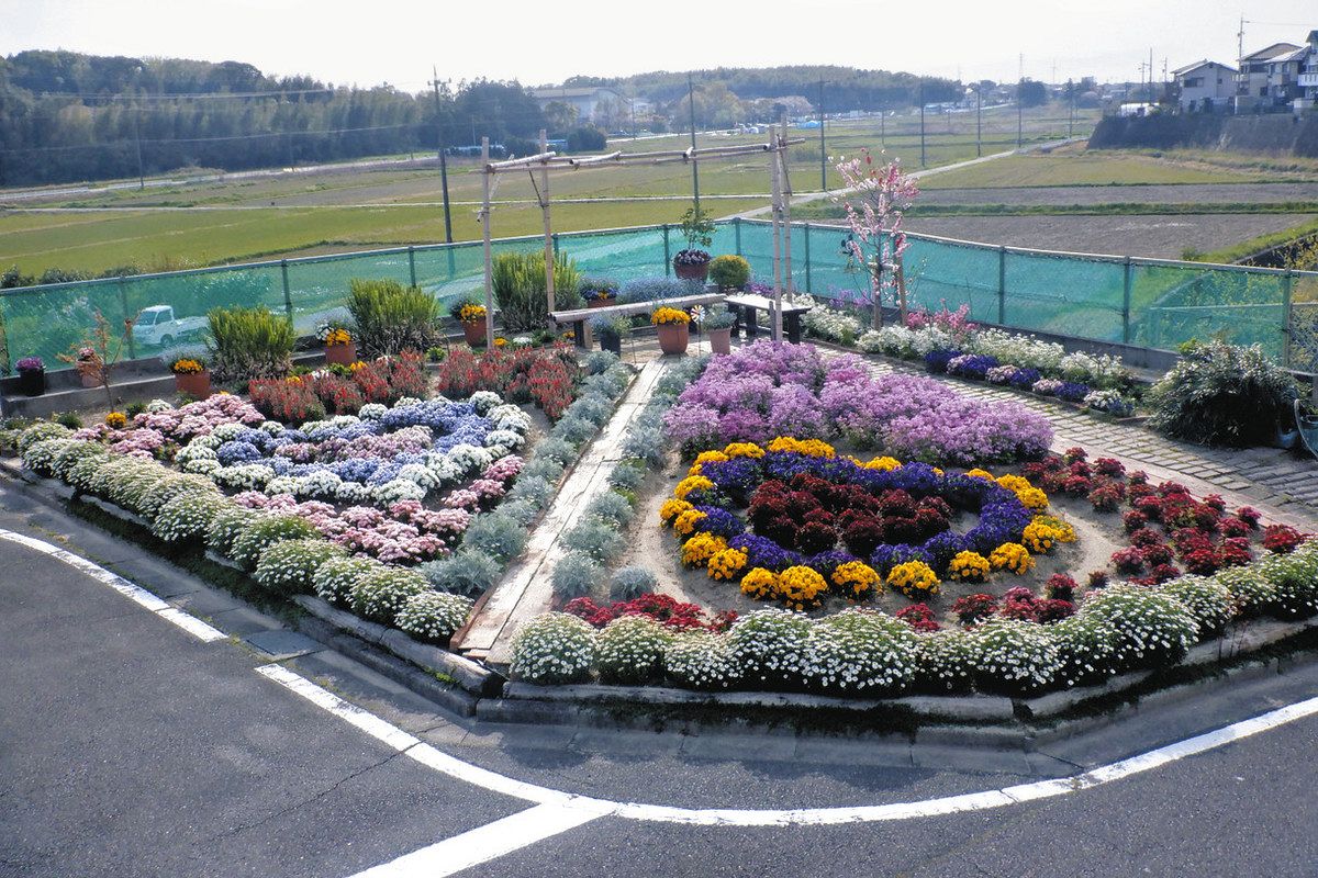 一般家庭の部で沢田さんが最優秀 知多市花壇コンク－ル：中日新聞Web