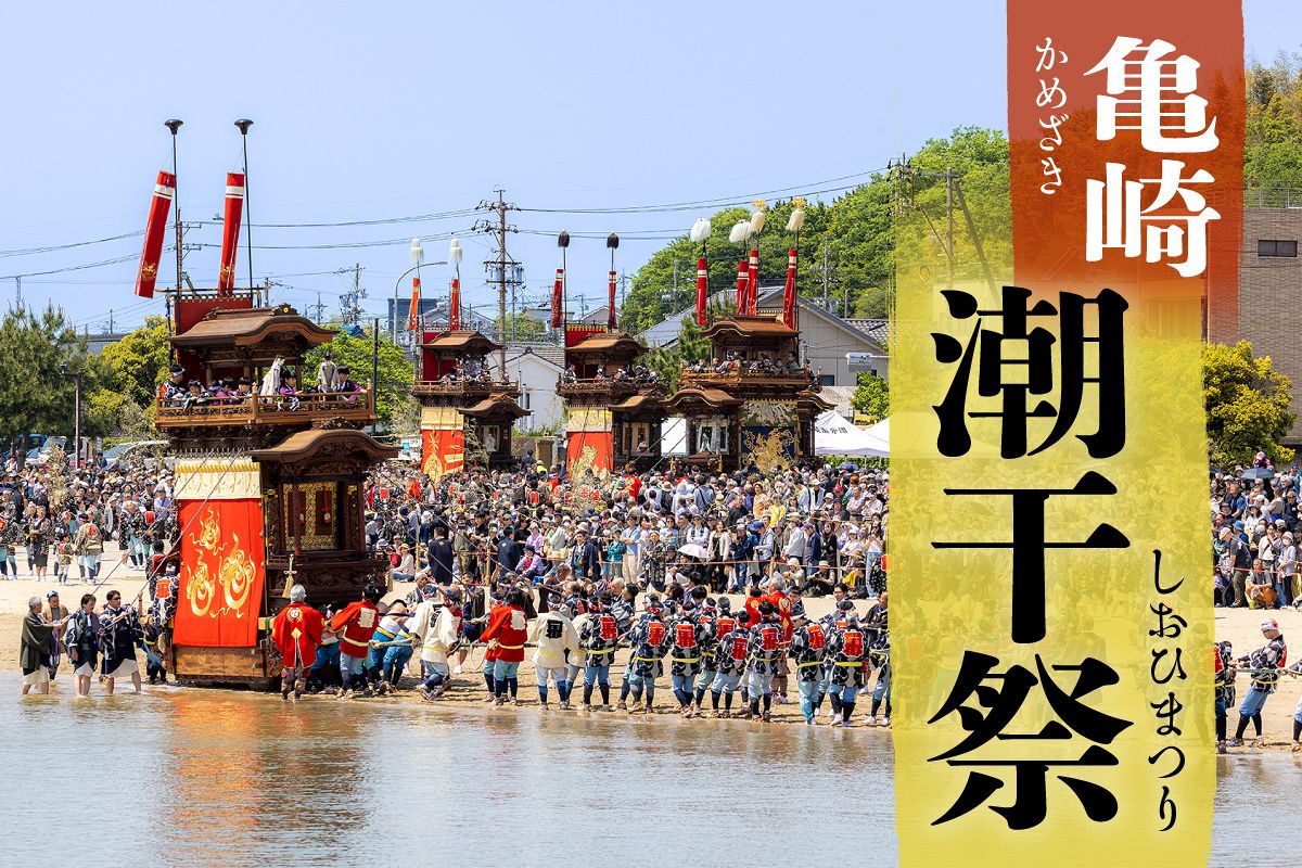 動画・写真特集】豪華な刺しゅう幕の山車、波打ち際を勇壮に 「亀崎