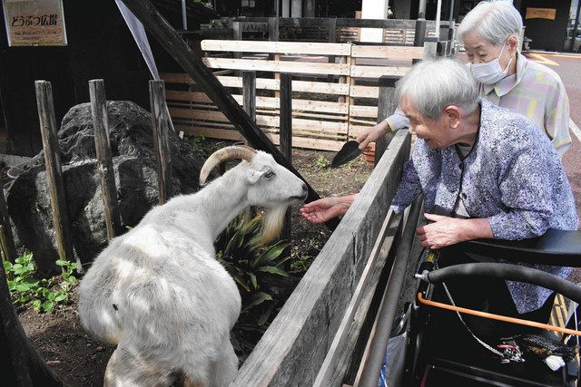 わが街ぶらり探訪 春日井の高齢者住宅 あいゆうの森 中日新聞web